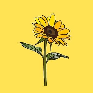 Meet your Posher, Ava